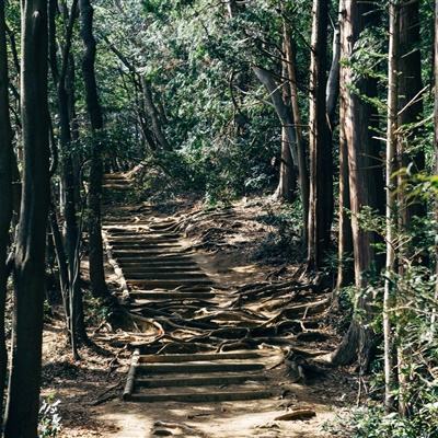 战龙在野无双乱斗最新版下载